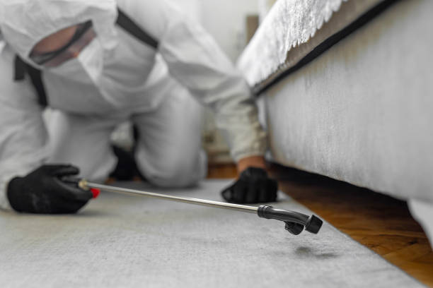 Professional Cockroach Control technician working in Cedar Bluff, AL