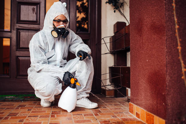 Reliable Cockroach Control contractor in Cedar Bluff, AL by Nex Pest Control